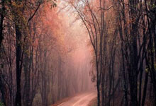 18球追平卢卡库,凯恩升至欧洲区世预赛历史射手榜第七.