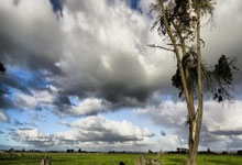 问鼎:记者:中国足球年才集中整治一次间隔太长,应该常态化严打.