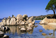 樊振东、陈梦、马龙落选?最新回应中国青年报.